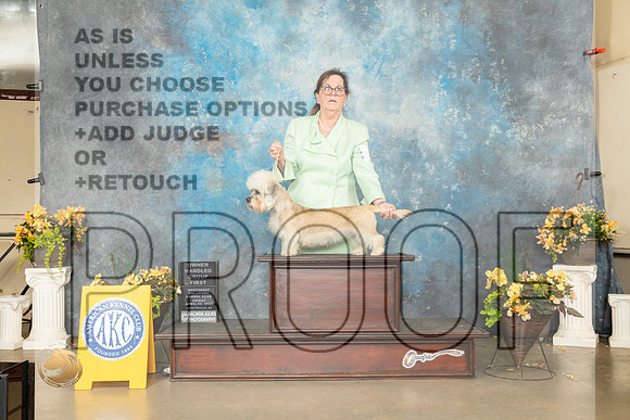 Dandie Dinmont Terrier #6 Fri OHG1 Judge Carol Jean Nelson-MMJ_9860-NWARK2022-HR3