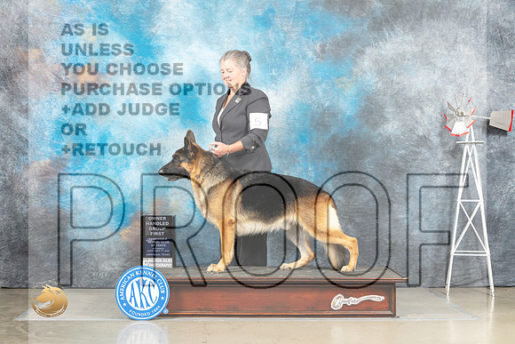 German Shepherd Dog #5 Sat OHG1 Judge Jill Warren G3 Judge Joan LIebes_MJ_4721_Amarillo_2022_HR3
