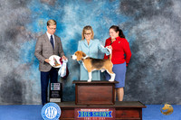 Beagle 15 #11 WED SD Judge Douglas Johnson