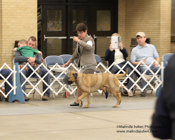 6-8VetSweeps-9370