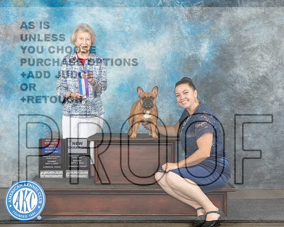 French Bulldog #20 Mon BOWBOSCH Judge Ann Bolus-_JP_4359e_Lubbock_2024-HR3