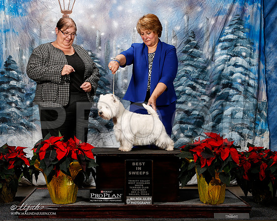 _ST_7954-2-DallasDec2014-HR3