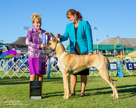 _ST_3472-AlamogordoOct2014-HR3