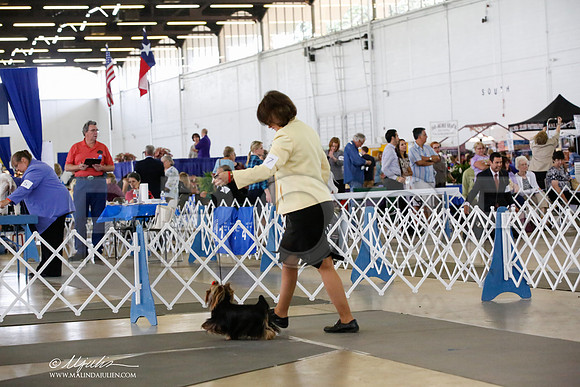 _CK_7445-DallasJul2014-HR3