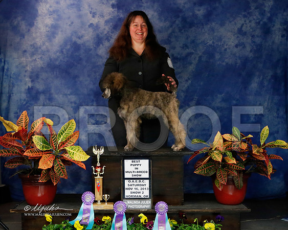 PdMC-9127-NormNov2013-HR