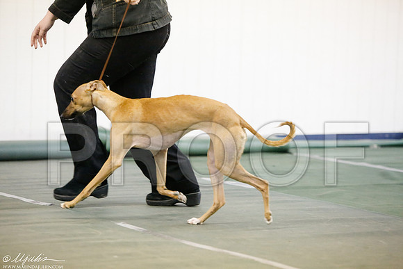 _MJ_4891-DentonMar2015-HR3