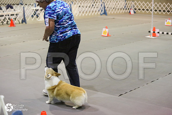 MJ2_0372-MsqtApr14-HR3