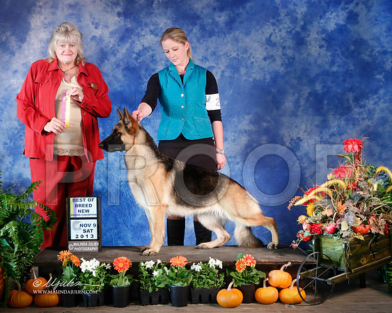 GSD-4362-HstnNov13-HR