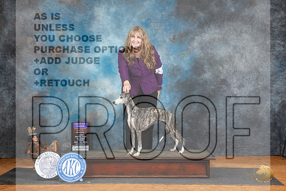 Whippet #14 Fri BOBOHBOB Judge Karen Hynek__JP_7398_MARSHALL_2024_HR3