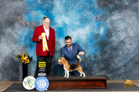 Beagle 13 #10 Sun G3 Judge Dr Don Gill