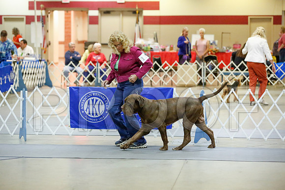 _JJ_6794-AmarilloSept2014-HR3