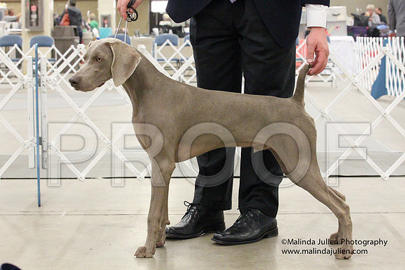 Weim-1441