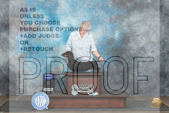 Dachshund Smooth #10 Mon G1 Judge Dr Steve Keating__JP_4474_Lubbock_2024_HR3