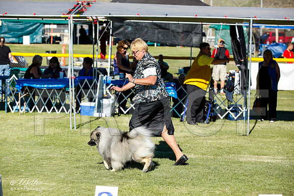 _JN_9667-AlamogordoOct2014-HR3