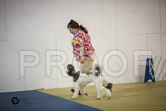 GunGrp--41-HtoJan2014-HR3-2
