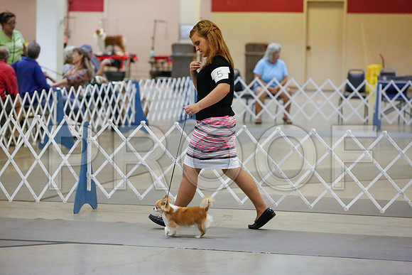 _JJ_0417-AmarilloSept2014-HR3