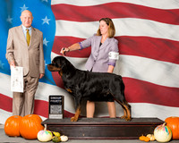 Rottweilers #9 Sun G4 Wilbanks Lauren Laura Hernandez Judge Mr Ralph J Ambrosio