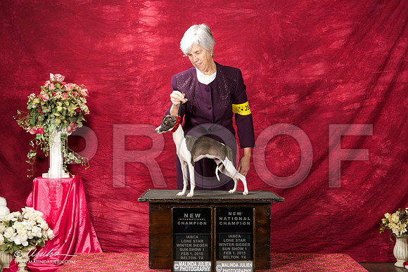 _ST_2773-BeltonJan2015IABCA-HR3
