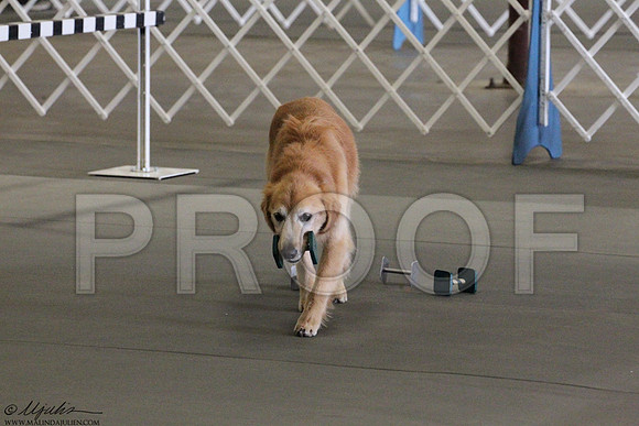 GradOpenShow1Sat-0003LR