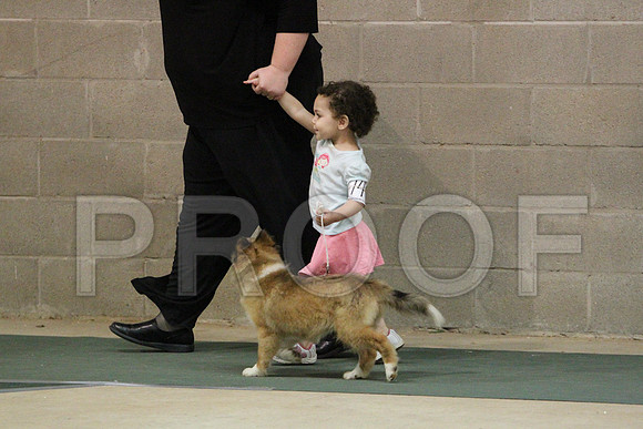 JuniorCCL_1287LR