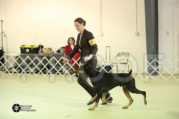 Dobe-0282-HtoJan14-HR
