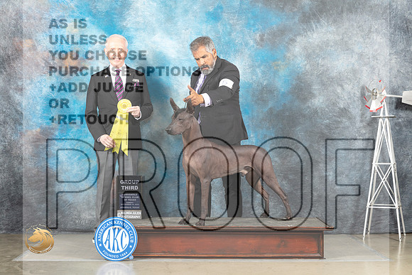 Xolo #5 Sun G3 Judge Fred Bassett_MJ_5171_Amarillo_2022_HR3