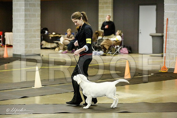 _RH_1114-BeltonJan2015IABCA-HR3