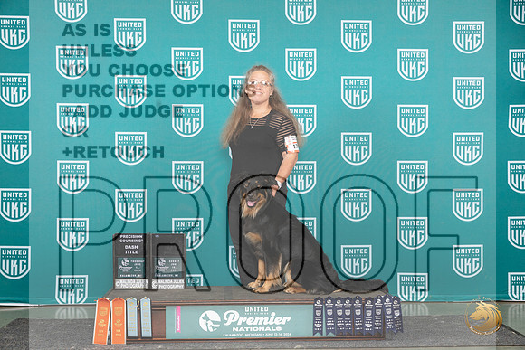 English Shepherd #476 see card__JP_2959_Premier_2024_HR3
