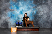 Bavarian Mountain Dog #197 note