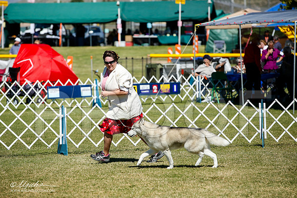 _JJ_0913-AlamogordoOct2014-HR3
