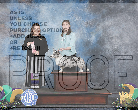 Cardigan Welsh Corgi #10 Fri BPUP G1 Judge Jennifer BellCardigan Welsh Corgi #10 Fri BPUP G1 Judge Jennifer Bell_WP_1969e-Alexadnria 2025-HR3