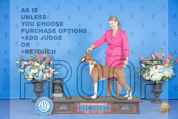 Boxer #16 THUR GSw BJr Judge Mary Ferguson r__JP_9838_Houston_2024_HR3