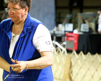 Rough Bred by Exhibitor Sat 2 Collie Feb 2012