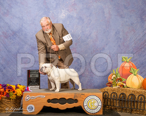 _CL_4585 - Version 2-SanAngelo2014-HR3