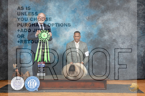 Pekingese #17 Fri BIS Judge Tim Robbins__JP_7489_MARSHALL_2024_HR3