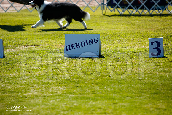 _JJ_5456-AlamogordoOct2014-HR3