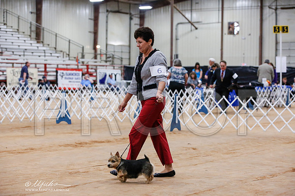 _JJ_6344-TxArJun2014-HR3