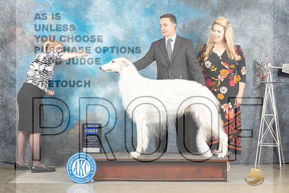 Borzoi #11 Sun G1 Judge Sharon Derrick_MJ_5132_Amarillo_2022_HR3