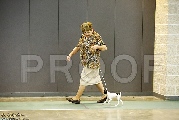 _J3L9253-BeltSep2014-HR