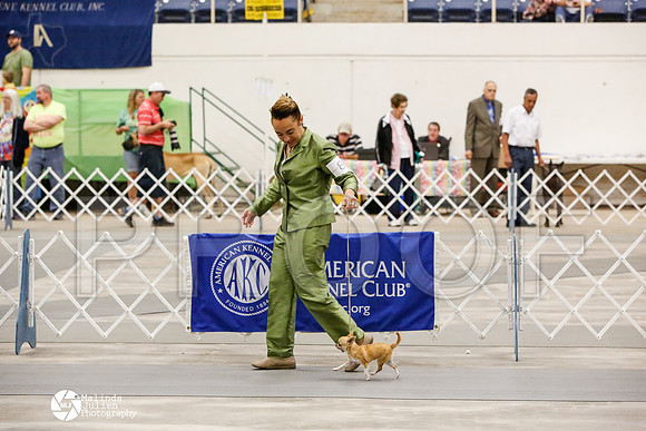 _CK_6207-AblnMay2014-web