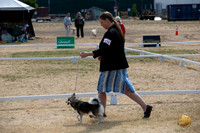*Ringside Longview WA 2024 Alaska Klee Kai #174