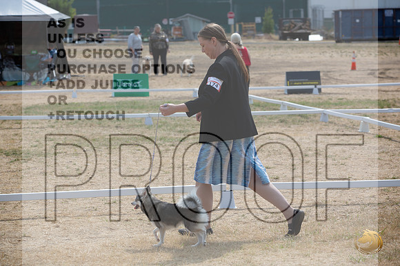 Ringside Longview WA 2024 Alaska Klee Kai #174_JJL_3535_Longview WA_2024_HR3