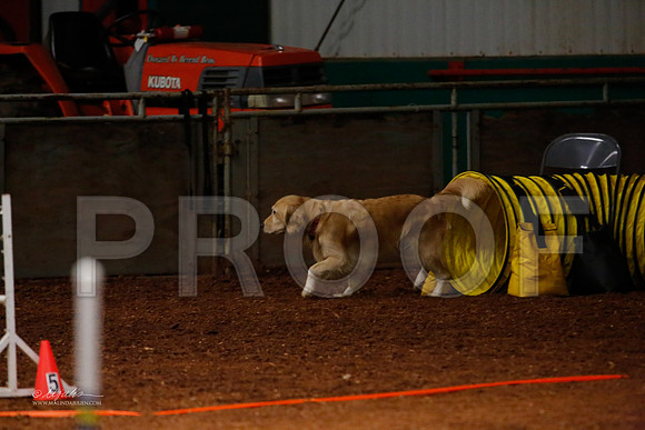 FNov16-2114-WFOct2013-HR