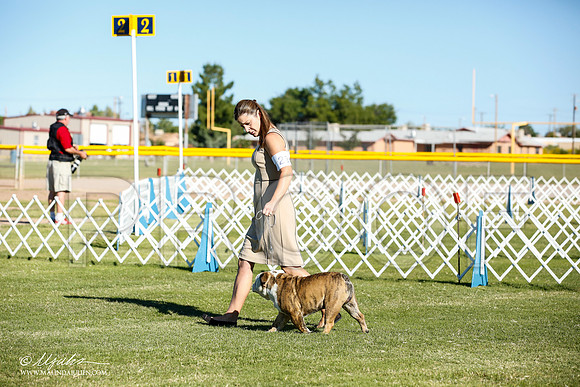 _JN_8324-AlamogordoOct2014-HR3