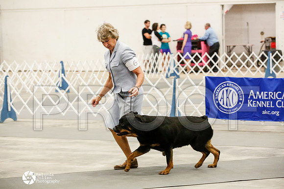 _HR_2054-AblnMay2014-web