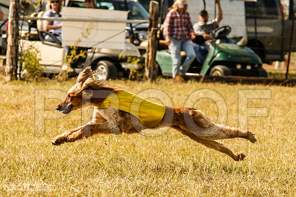_MJ_5946-AfgBeltonOct2014-HR3