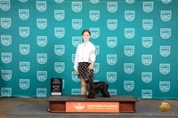 Chinese Crested #291 Fri BJr Judge Alan Krenek
