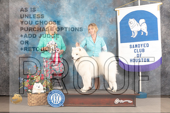 Samoyed #27 Wed BOS Judge Karen McFarlen_MJ_2802_Houston_2022_HR3