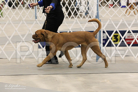 IMG_9115-Abilene2011-HR3
