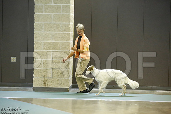 _J3L1111-BeltSep2014-HR